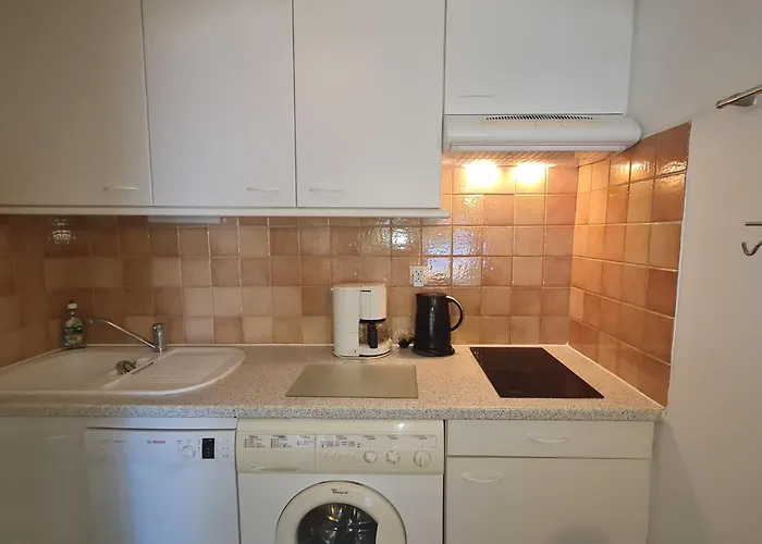 Avec Mezzanine Et Piscine, Animaux Acceptés, Parking Privé à - Fr-1-780-81 * Sainte-Maxime