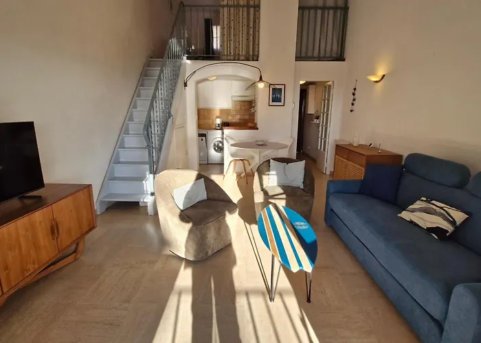 Avec Mezzanine Et Piscine, Animaux Acceptes, Parking Prive A - Fr-1-780-81 Apartmán