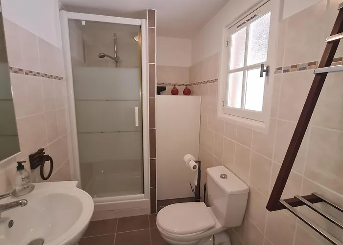 Apartmán Avec Mezzanine Et Piscine, Animaux Acceptes, Parking Prive A - Fr-1-780-81