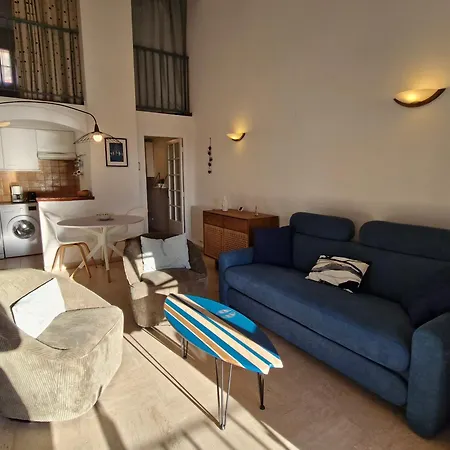 Apartment Avec Mezzanine Et Piscine, Animaux Acceptes, Parking Prive A - Fr-1-780-81 *