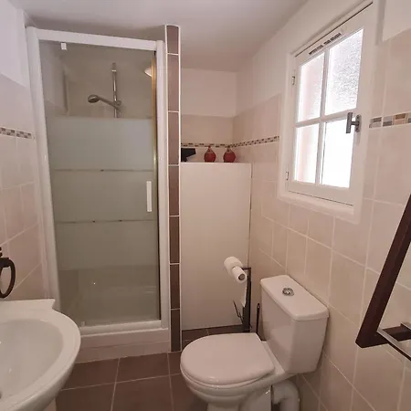 Apartment Avec Mezzanine Et Piscine, Animaux Acceptes, Parking Prive A - Fr-1-780-81